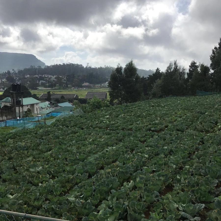 Dahlia Mount View Hotel Nuwara Eliya Exteriör bild